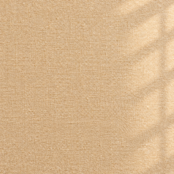 Close-up of the beige pure Tussar silk saree showing its fine woven body texture