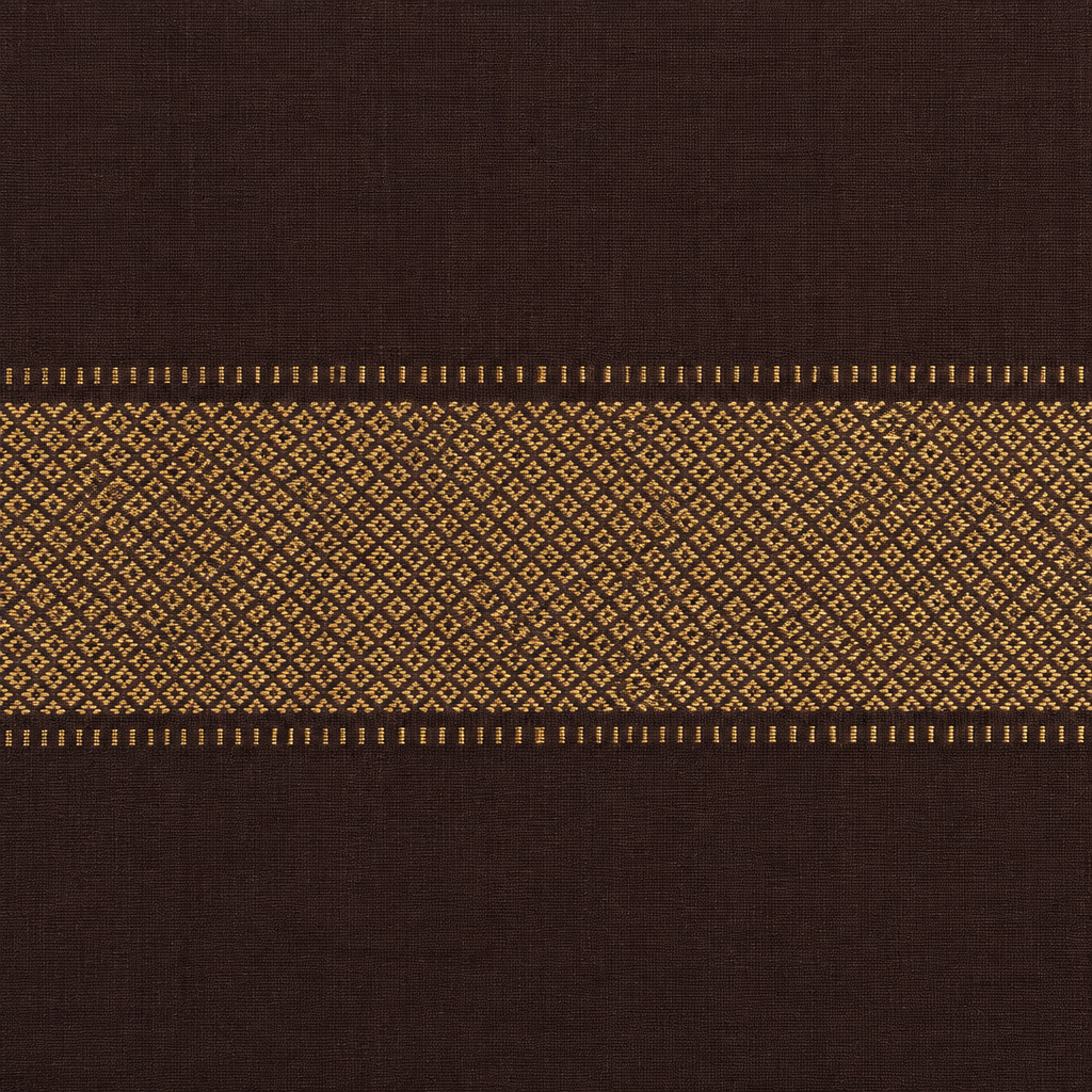 Close-up of gold zari lattice border on coffee-purple Pochampally silk saree