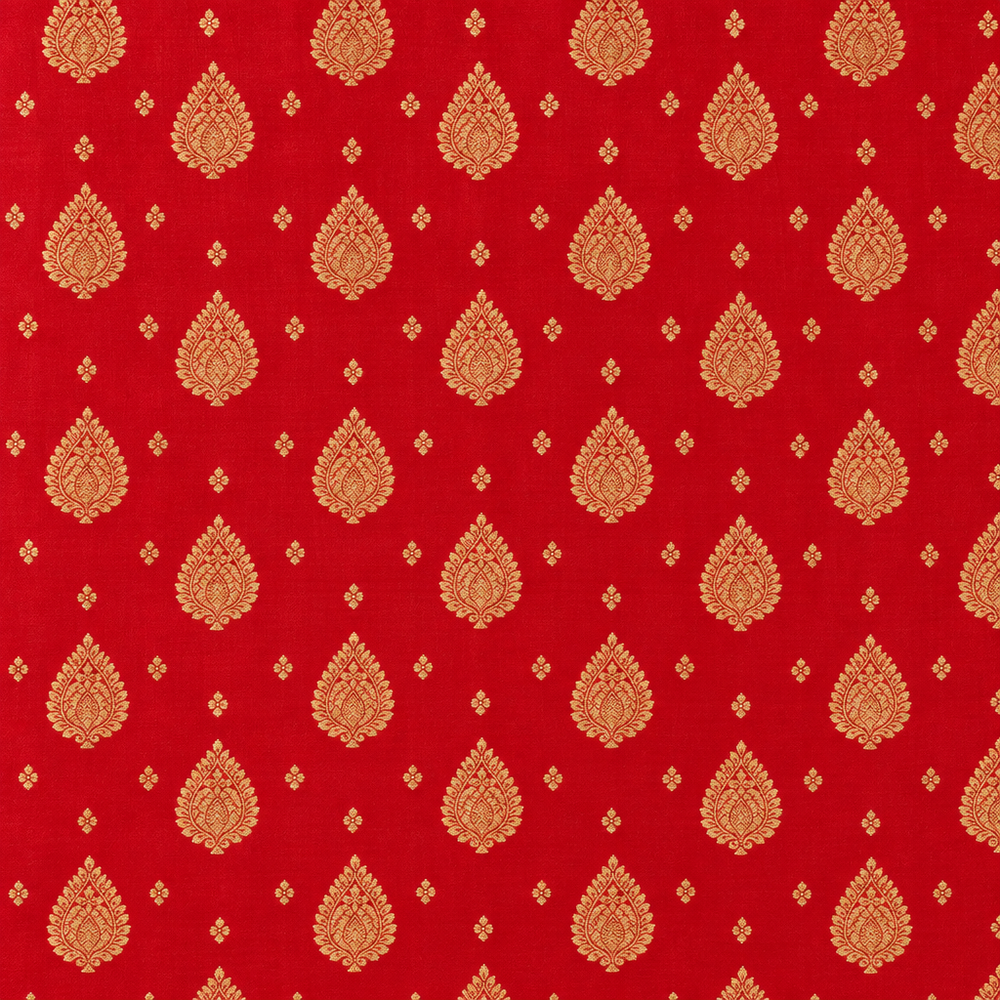 Close-up of the red Banarasi silk body with gold zari teardrop bootas
