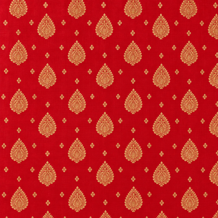 Close-up of the red Banarasi silk body with gold zari teardrop bootas