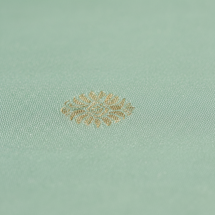 KUBERAN LIGHT GREEN PURE SILK DANCE SAREE
