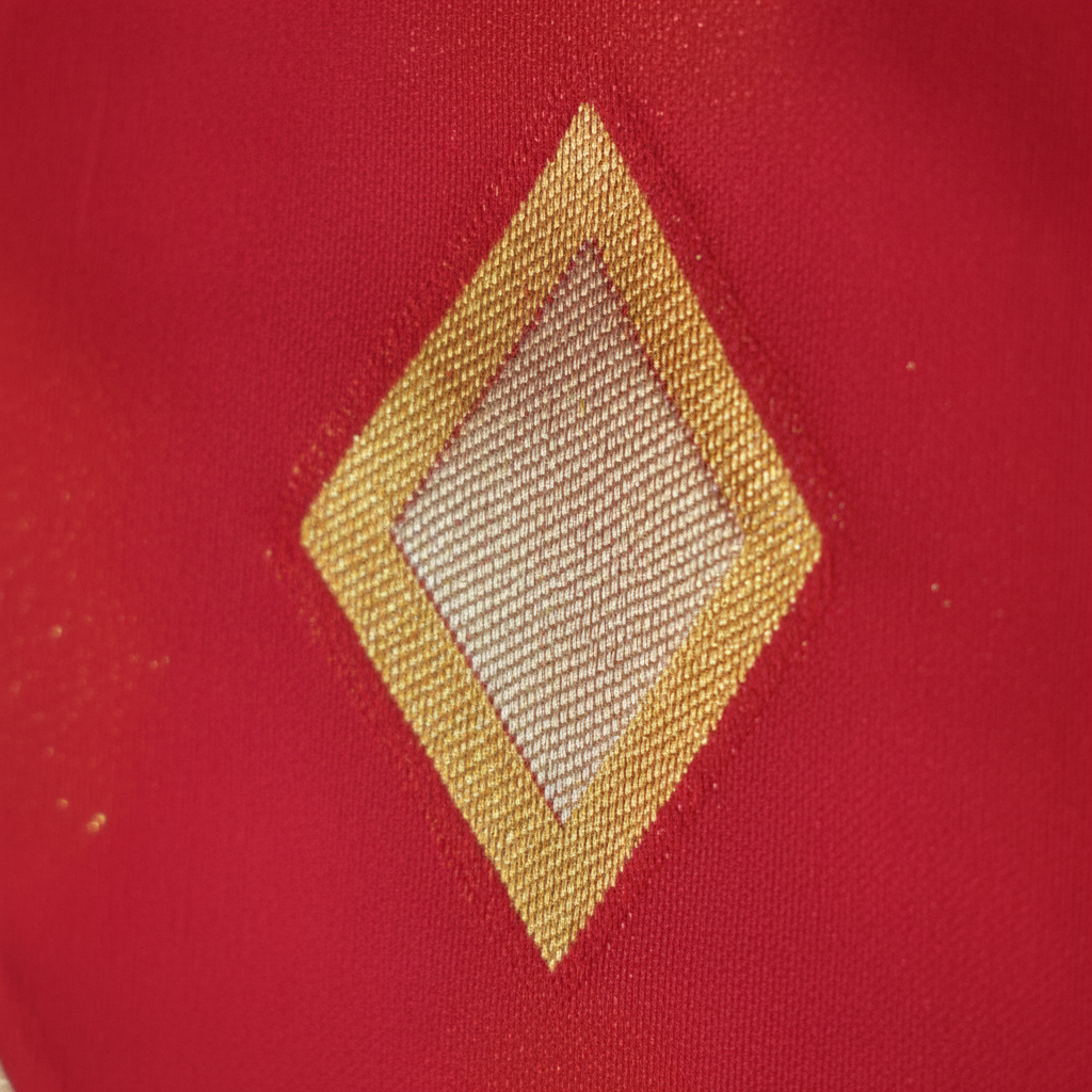 KUBERAN RED RAW SILK SAREE